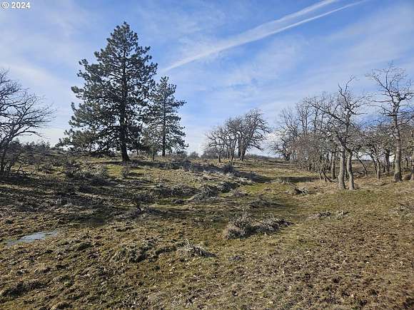 5.3 Acres of Residential Land for Sale in Goldendale, Washington