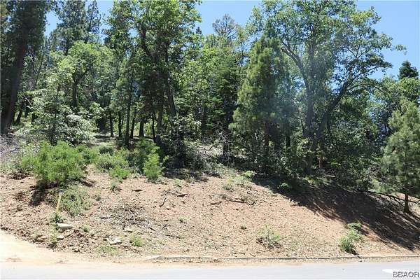 0.37 Acres of Residential Land for Sale in Big Bear City, California