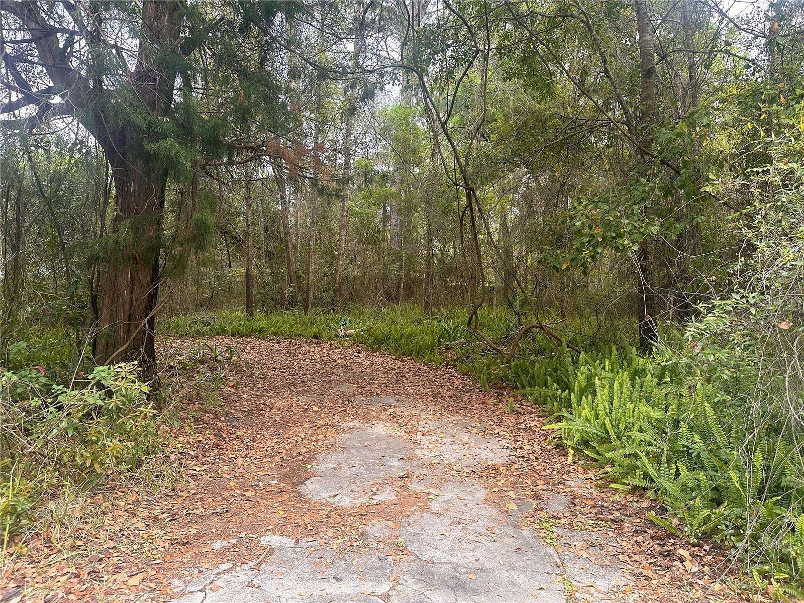 0.19 Acres of Residential Land for Sale in Gainesville, Florida