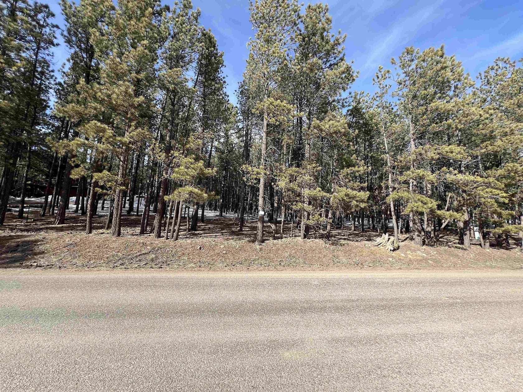 0.72 Acres of Residential Land for Sale in Angel Fire, New Mexico