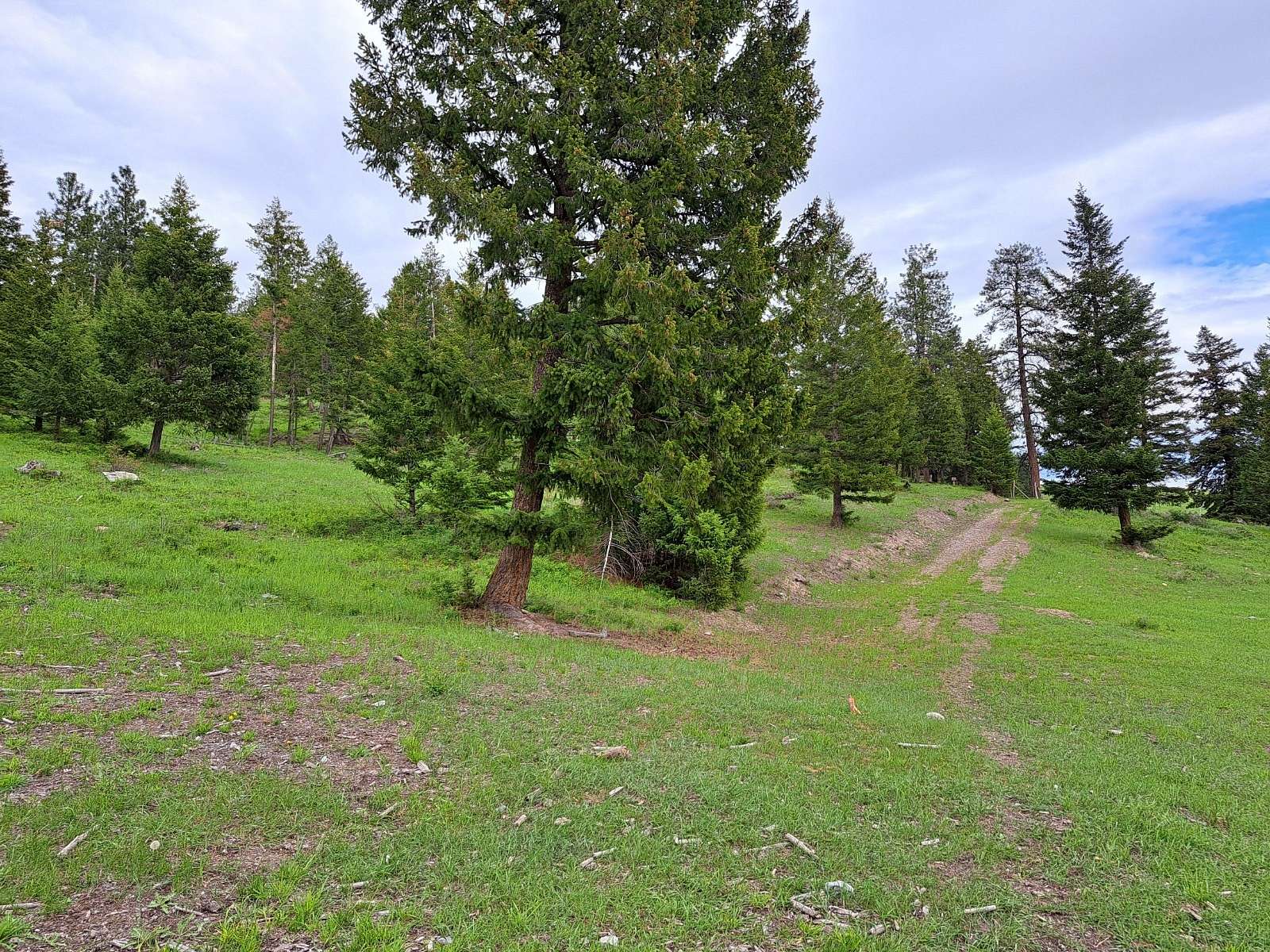 20.4 Acres of Land for Sale in Kalispell, Montana