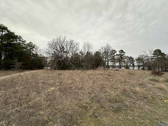 0.3 Acres of Residential Land for Sale in Scroggins, Texas