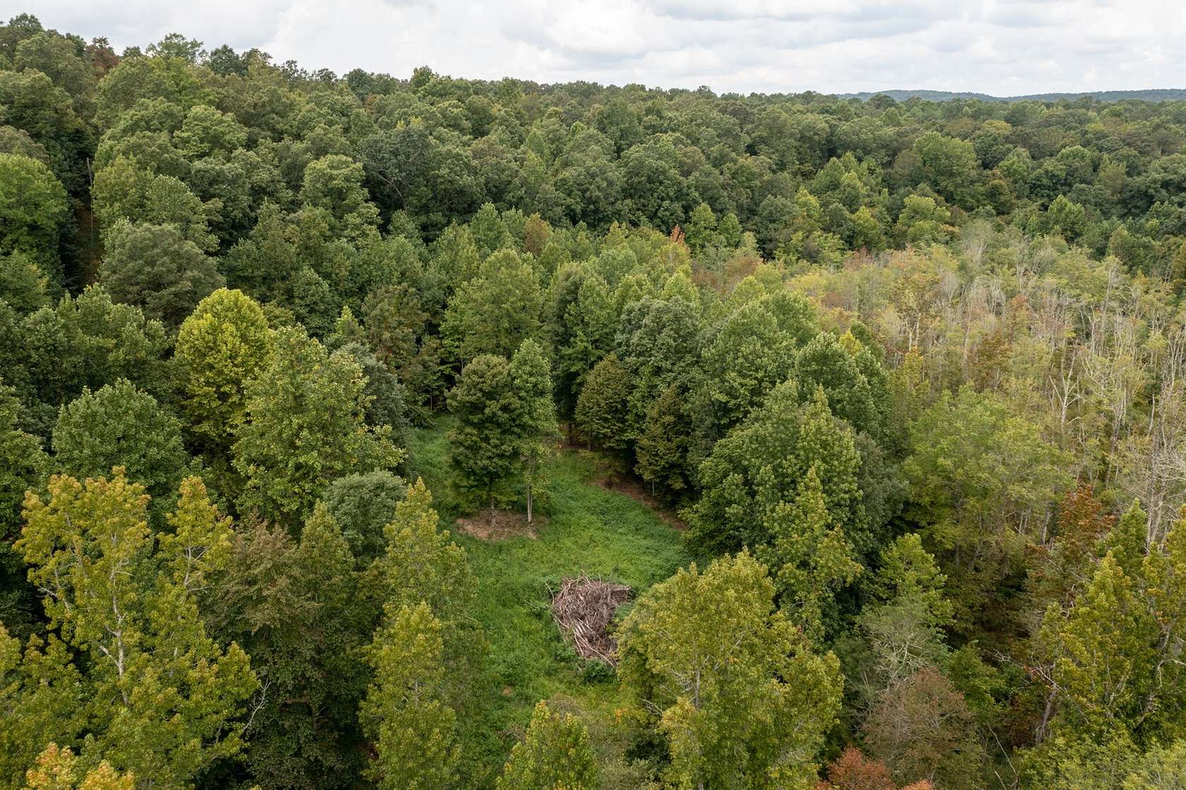 23.2 Acres of Land for Sale in Hohenwald, Tennessee