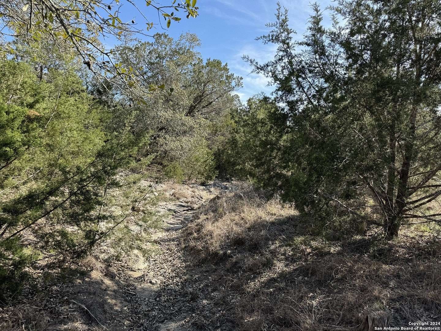 12 Acres of Land for Sale in Spring Branch, Texas