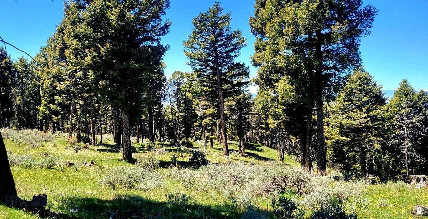 21 Acres of Recreational Land for Sale in Sheridan, Montana