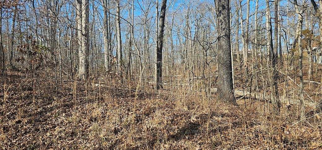 0.3 Acres of Residential Land for Sale in Buchanan, Tennessee