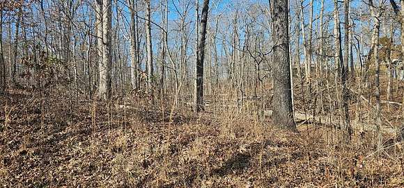 0.3 Acres of Residential Land for Sale in Buchanan, Tennessee