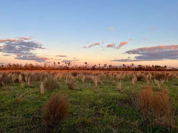 10.2 Acres of Land for Sale in Kinard, Florida