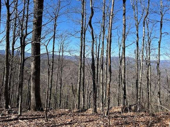 5 Acres of Land for Sale in Bryson City, North Carolina