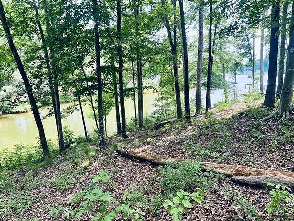 0.66 Acres of Residential Land for Sale in Abbeville, South Carolina
