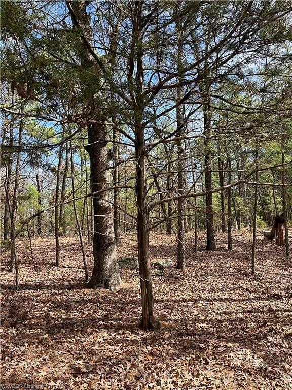 20 Acres of Recreational Land for Sale in Antlers, Oklahoma