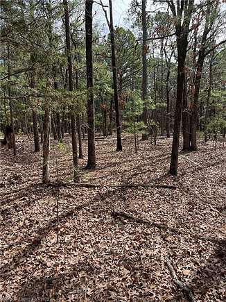 20 Acres of Recreational Land for Sale in Antlers, Oklahoma - LandSearch