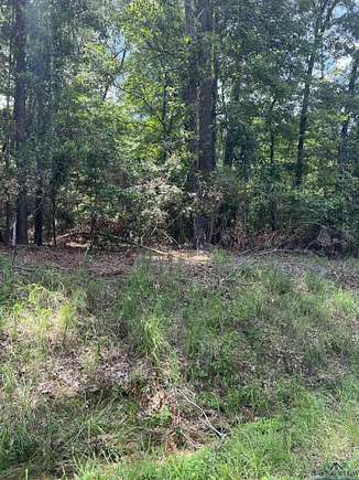 1.3 Acres of Residential Land for Sale in Tatum, Texas