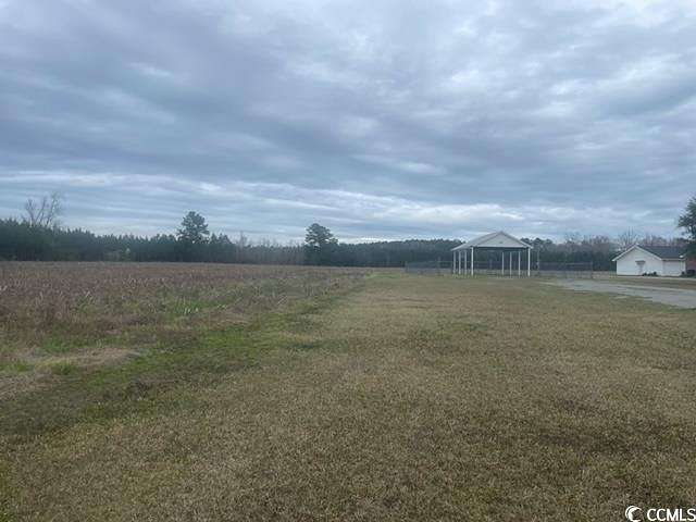 11.5 Acres of Land for Sale in Andrews, South Carolina
