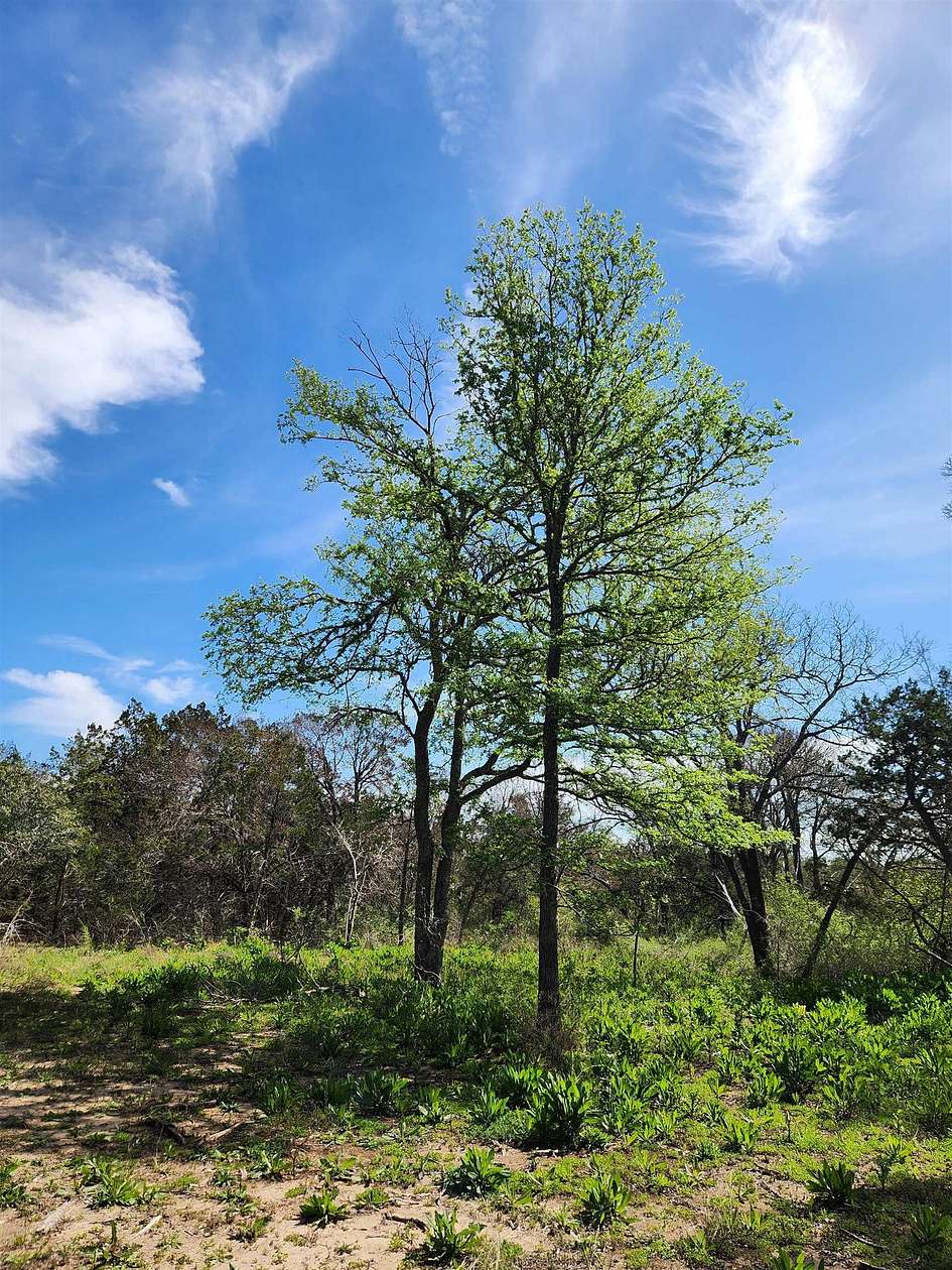 2.1 Acres of Residential Land for Sale in Bertram, Texas