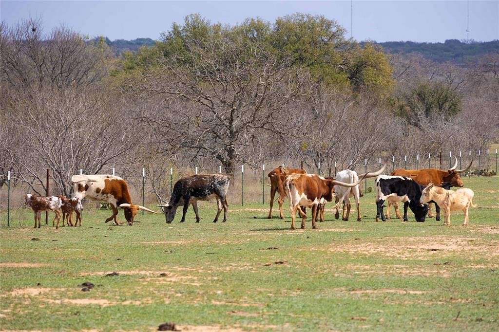 31 Acres of Recreational Land for Sale in Brownwood, Texas