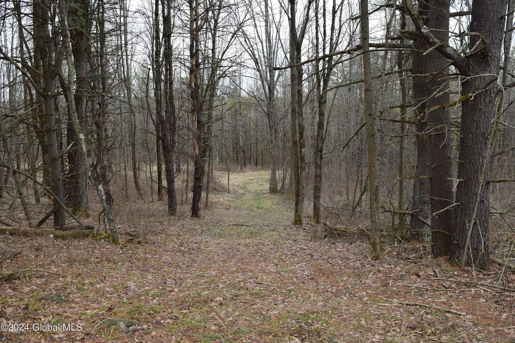 95 Acres of Recreational Land for Sale in Wright Town, New York