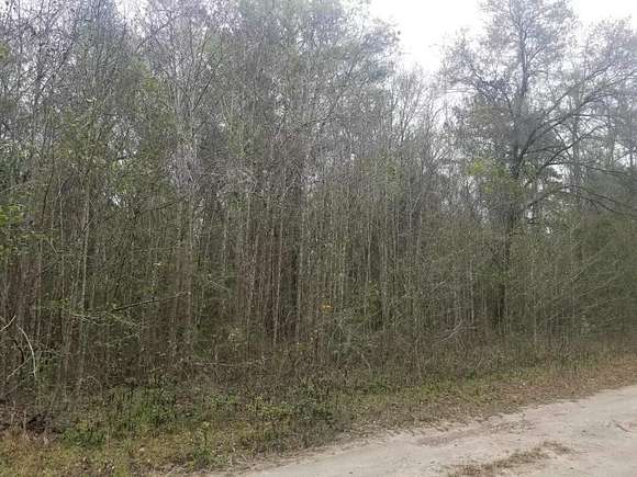 3.18 Acres of Residential Land for Sale in Flemington, Florida