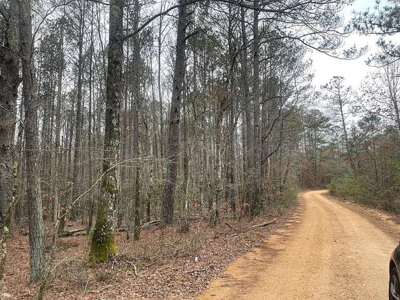 1 Acre of Residential Land for Sale in Winfield, Alabama
