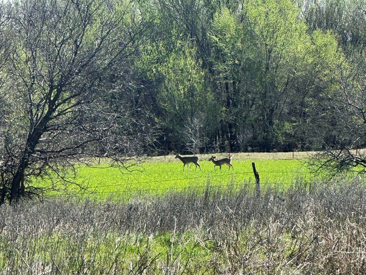 159 Acres of Recreational Land & Farm for Sale in Grandfield, Oklahoma