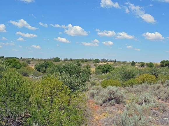 159 Acres of Recreational Land & Farm for Sale in Grandfield, Oklahoma