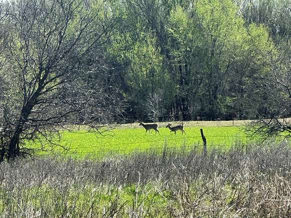 159.31 Acres of Recreational Land & Farm for Sale in Grandfield, Oklahoma