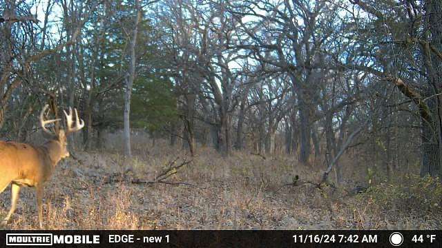 356.33 Acres of Recreational Land & Farm for Sale in Wamego, Kansas