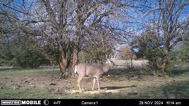 356 Acres of Recreational Land & Farm for Sale in Wamego, Kansas
