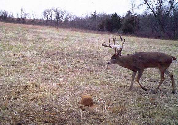 356.33 Acres of Recreational Land & Farm for Sale in Wamego, Kansas