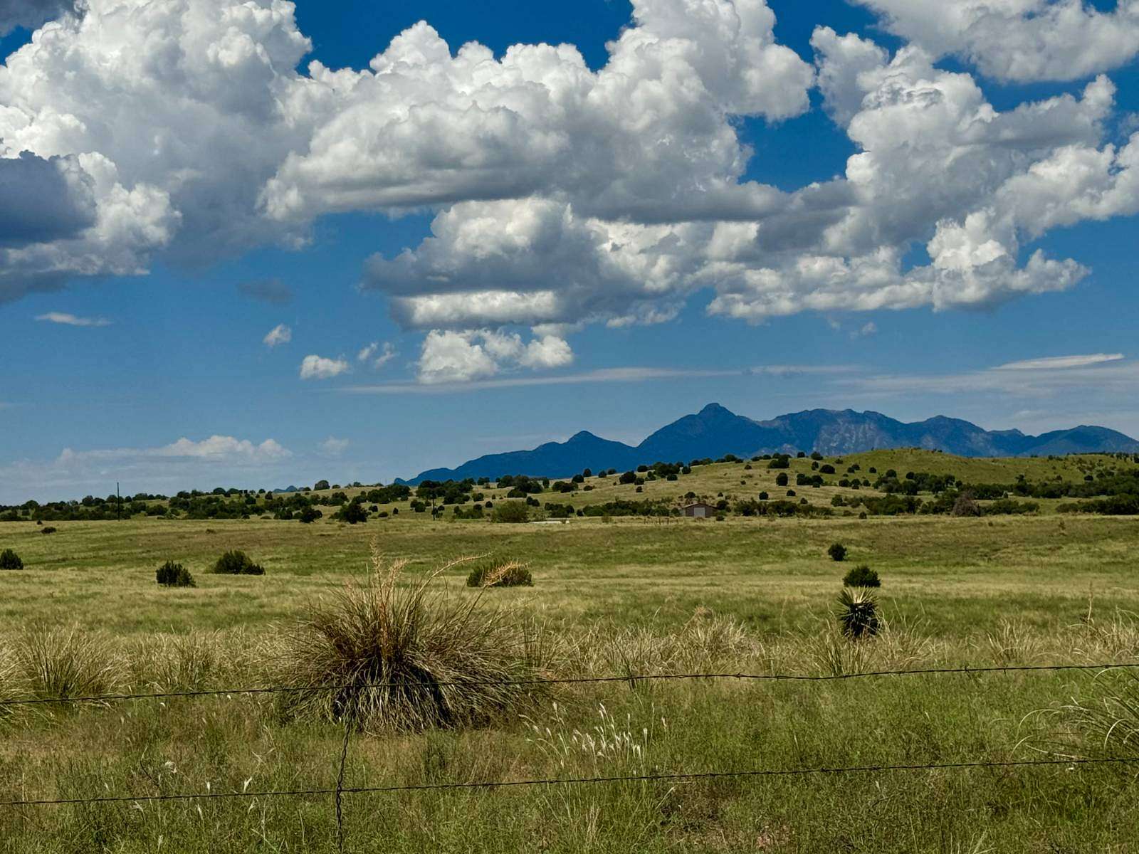 30 Acres of Land for Sale in Elgin, Arizona