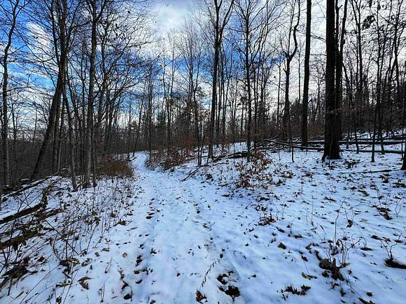 75.7 Acres of Recreational Land for Sale in Cohocton, New York