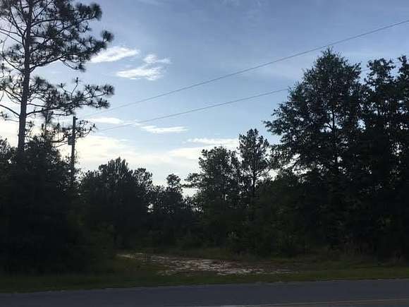 46.19 Acres of Recreational Land for Sale in DeFuniak Springs, Florida