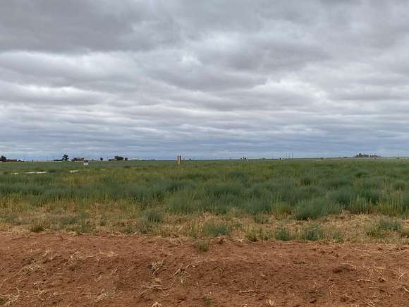 10.9 Acres of Land for Sale in Levelland, Texas