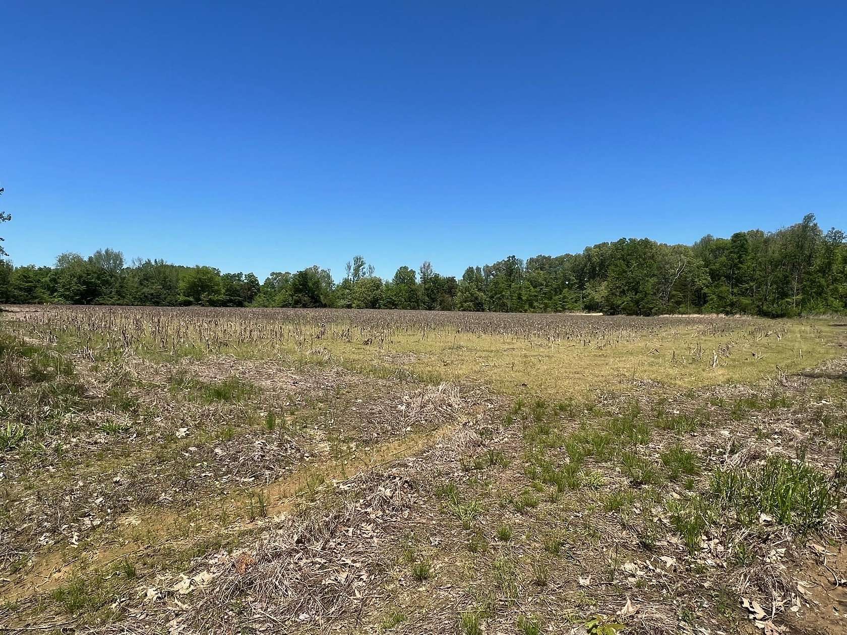 27 Acres of Land for Sale in Collierville, Tennessee