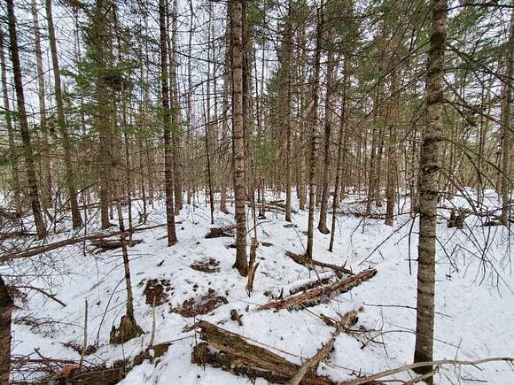 31.9 Acres of Recreational Land for Sale in Pittsfield, Maine