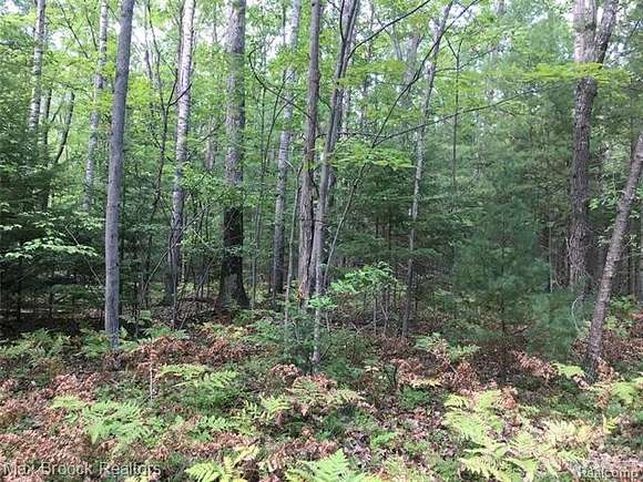 1.2 Acres of Residential Land for Sale in Indian River, Michigan