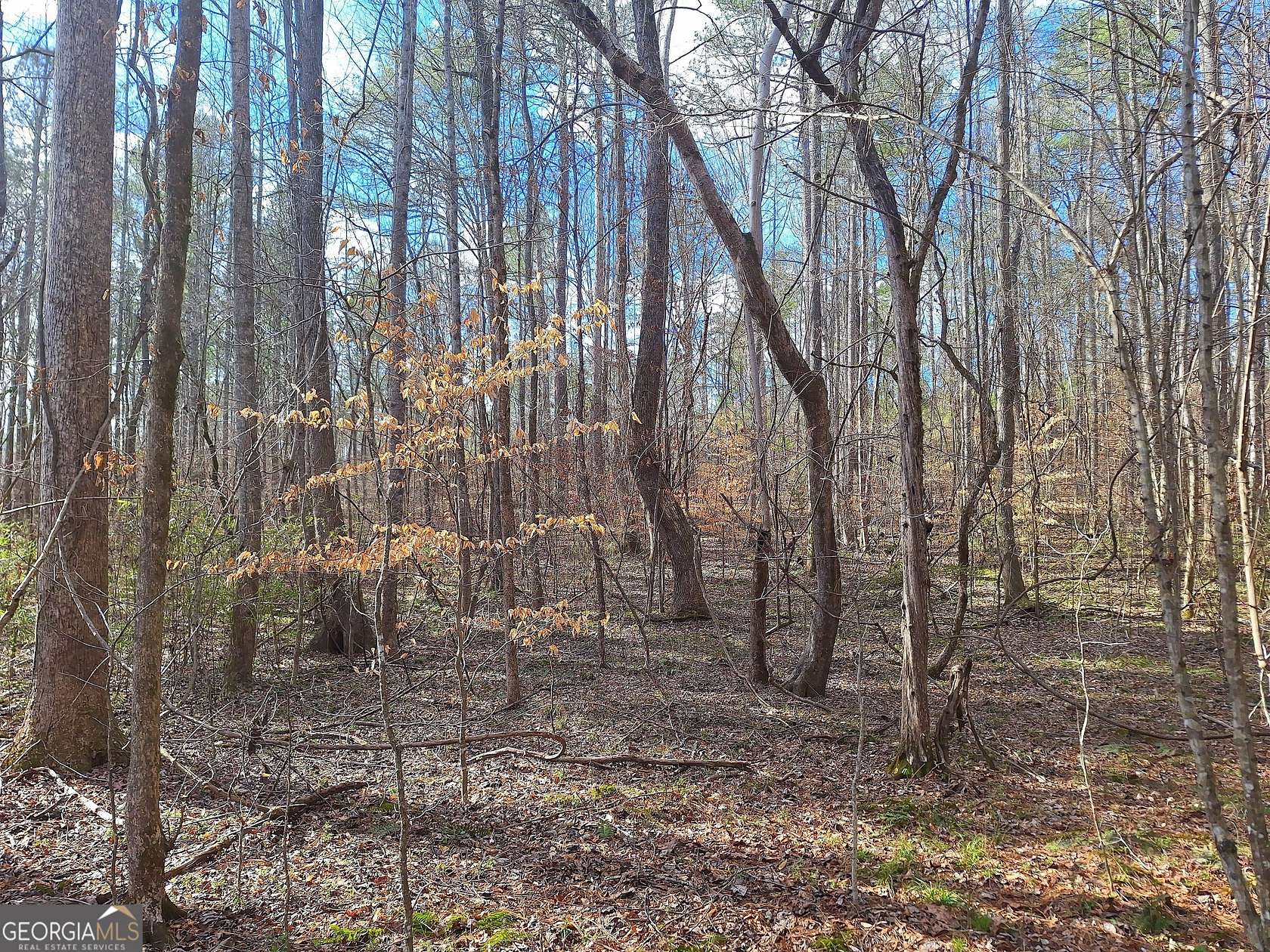 18.44 Acres of Land for Sale in Monticello, Georgia