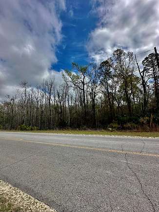 5 Acres of Residential Land for Sale in Jena, Florida