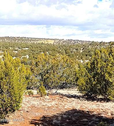 5.8 Acres of Residential Land for Sale in Vernon, Arizona