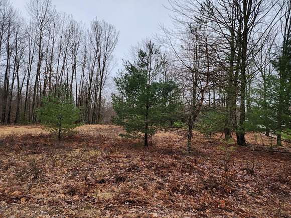 1.4 Acres of Land for Sale in Canadian Lakes, Michigan