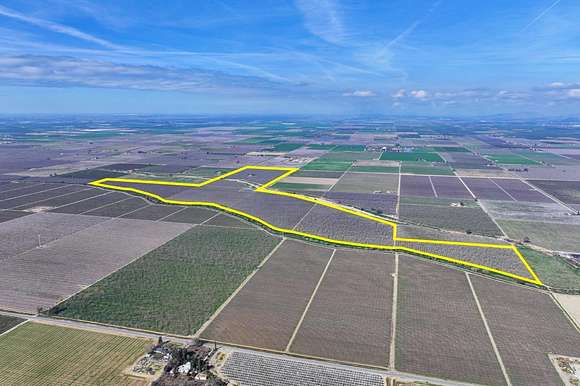 333 Acres of Agricultural Land for Sale in Strathmore, California