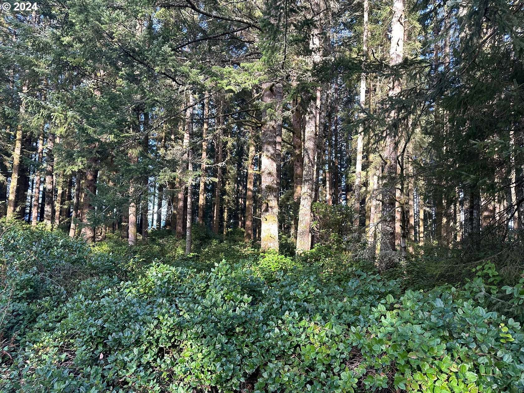 3 Acres of Residential Land for Sale in Brookings, Oregon