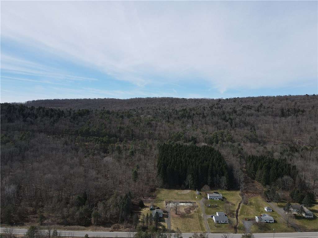 79.4 Acres of Recreational Land for Sale in Hartwick, New York
