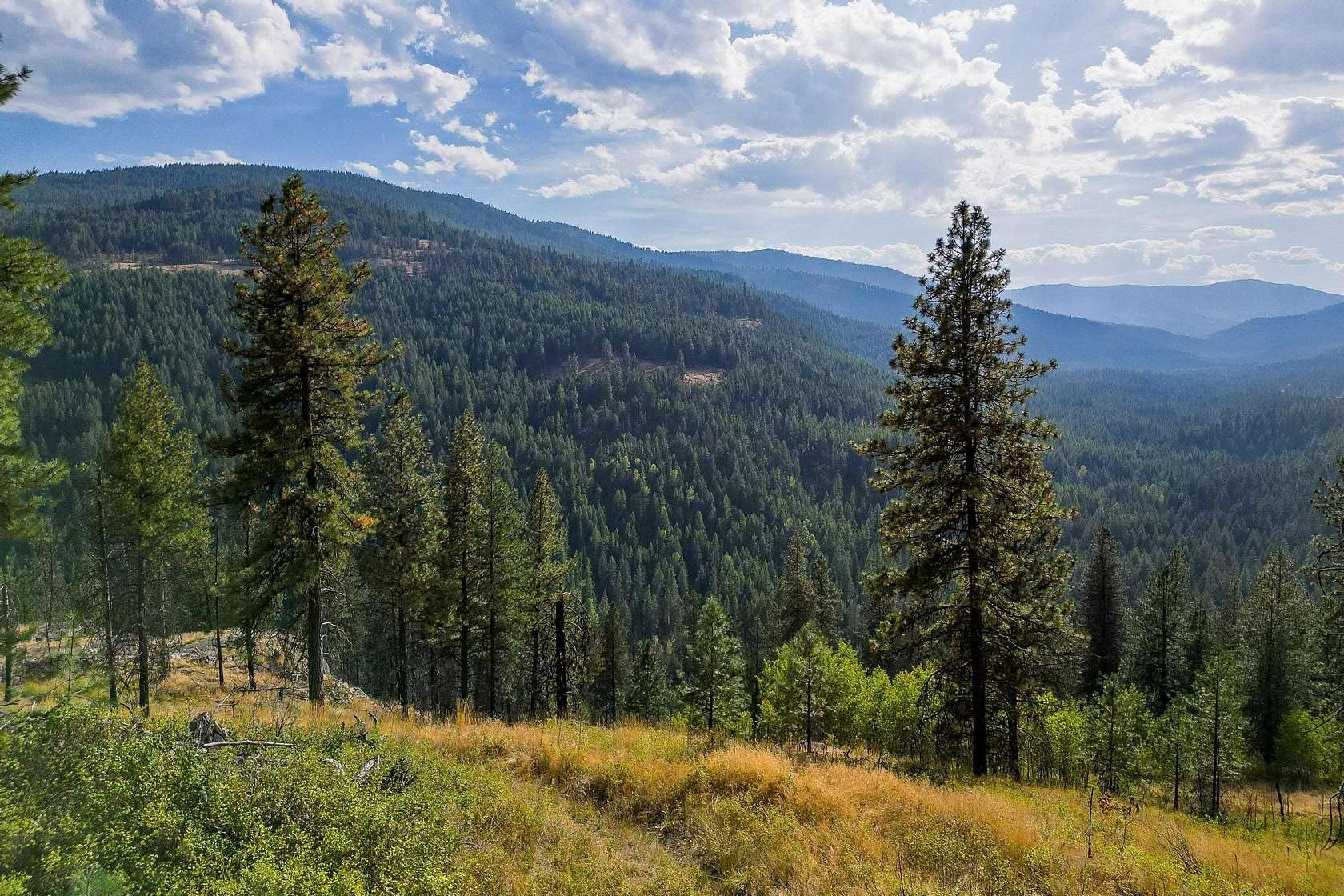 20.48 Acres of Land for Sale in Kettle Falls, Washington