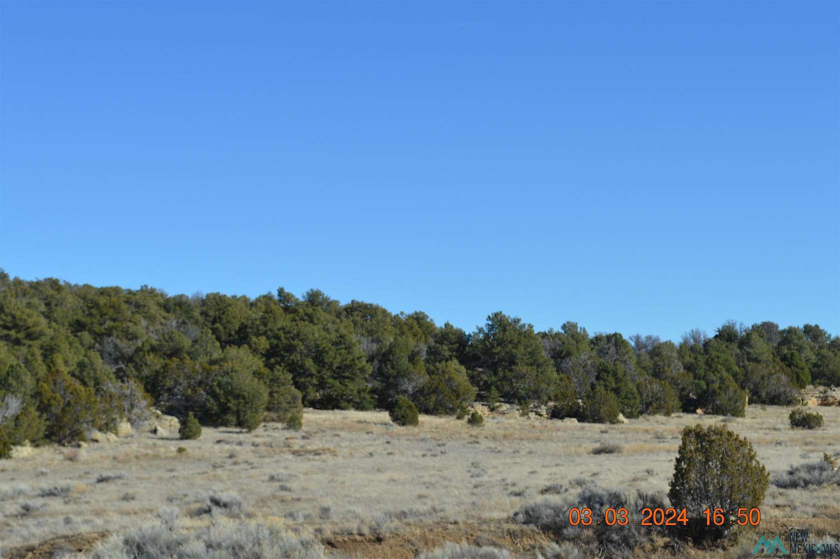 40 Acres of Recreational Land for Sale in Pinehill, New Mexico