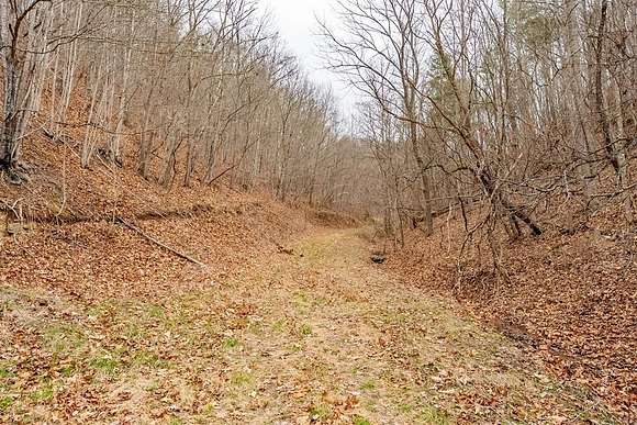 16.6 Acres of Land for Sale in Hiwassee, Virginia