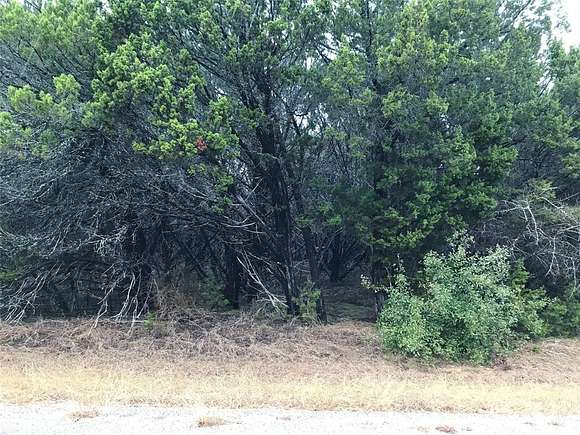 0.24 Acres of Residential Land for Sale in Whitney, Texas