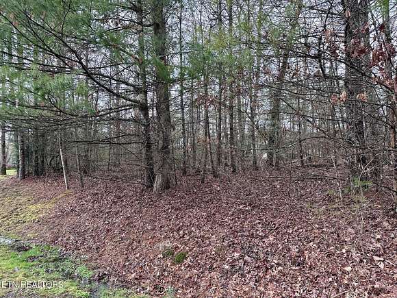 0.38 Acres of Residential Land for Sale in Fairfield Glade, Tennessee
