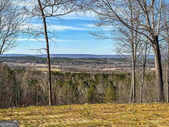 192 Acres of Recreational Land & Farm for Sale in Summerville, Georgia
