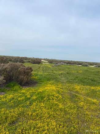 1 Acre of Residential Land for Sale in Wasco, California